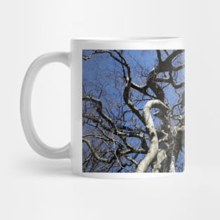 Bare tree with gnarled branches in winter, Germany Mug